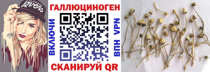 Галлюциногенные грибы MAGIC MUSHROOMS  Купить закладки  Бежецк 